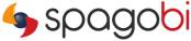 spagobi implementation company