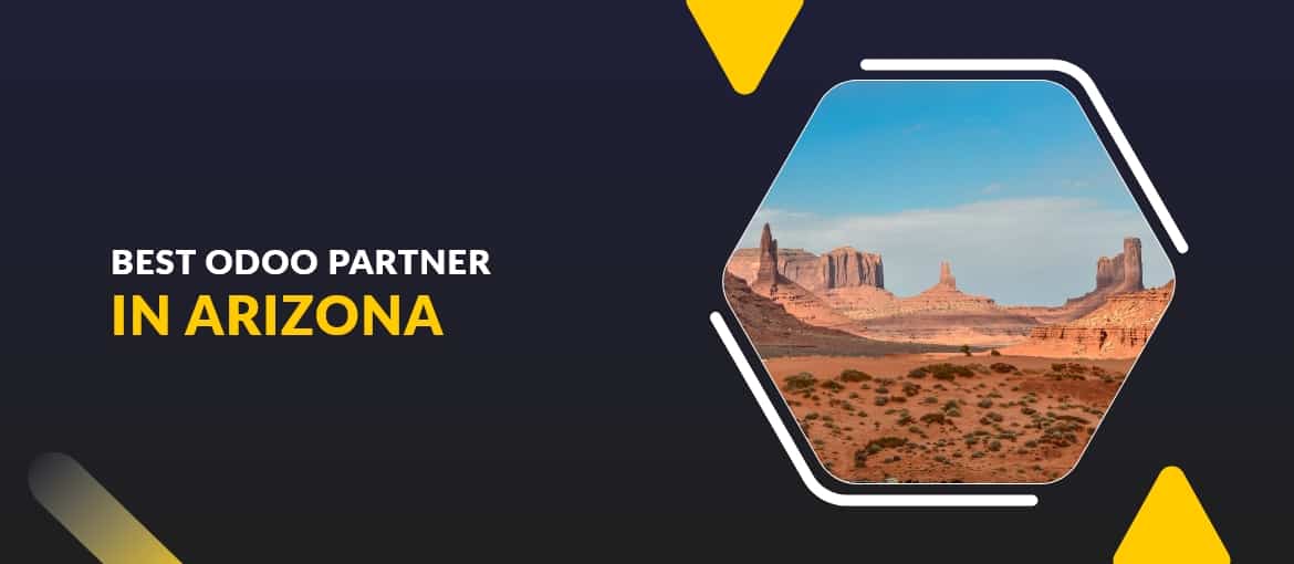 Best Odoo Partner In Arizona