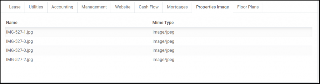 Odoo Rental Management t