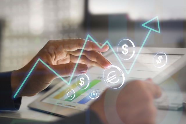 Professional Service ERP software solution