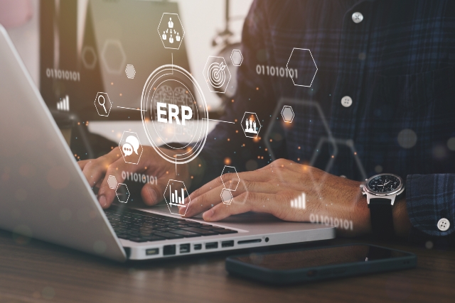 Professional Service ERP software solution