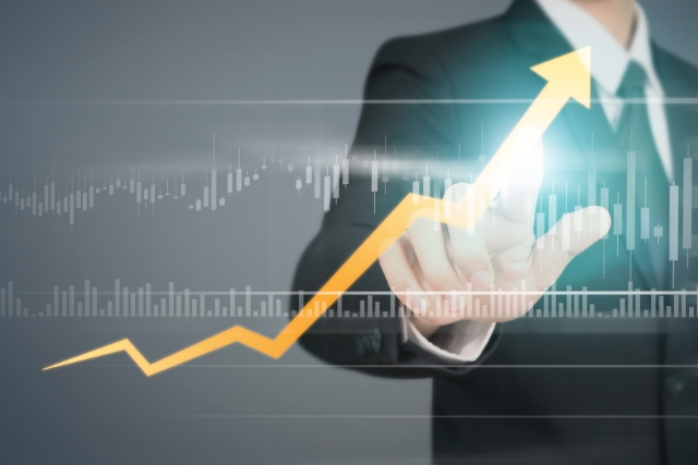 Professional Service ERP software solution